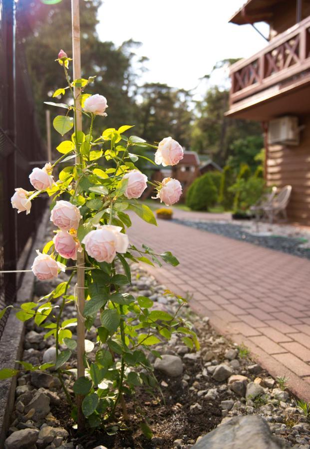 Ferienwohnung Sveciu Namai Uzkanave Palanga Exterior foto